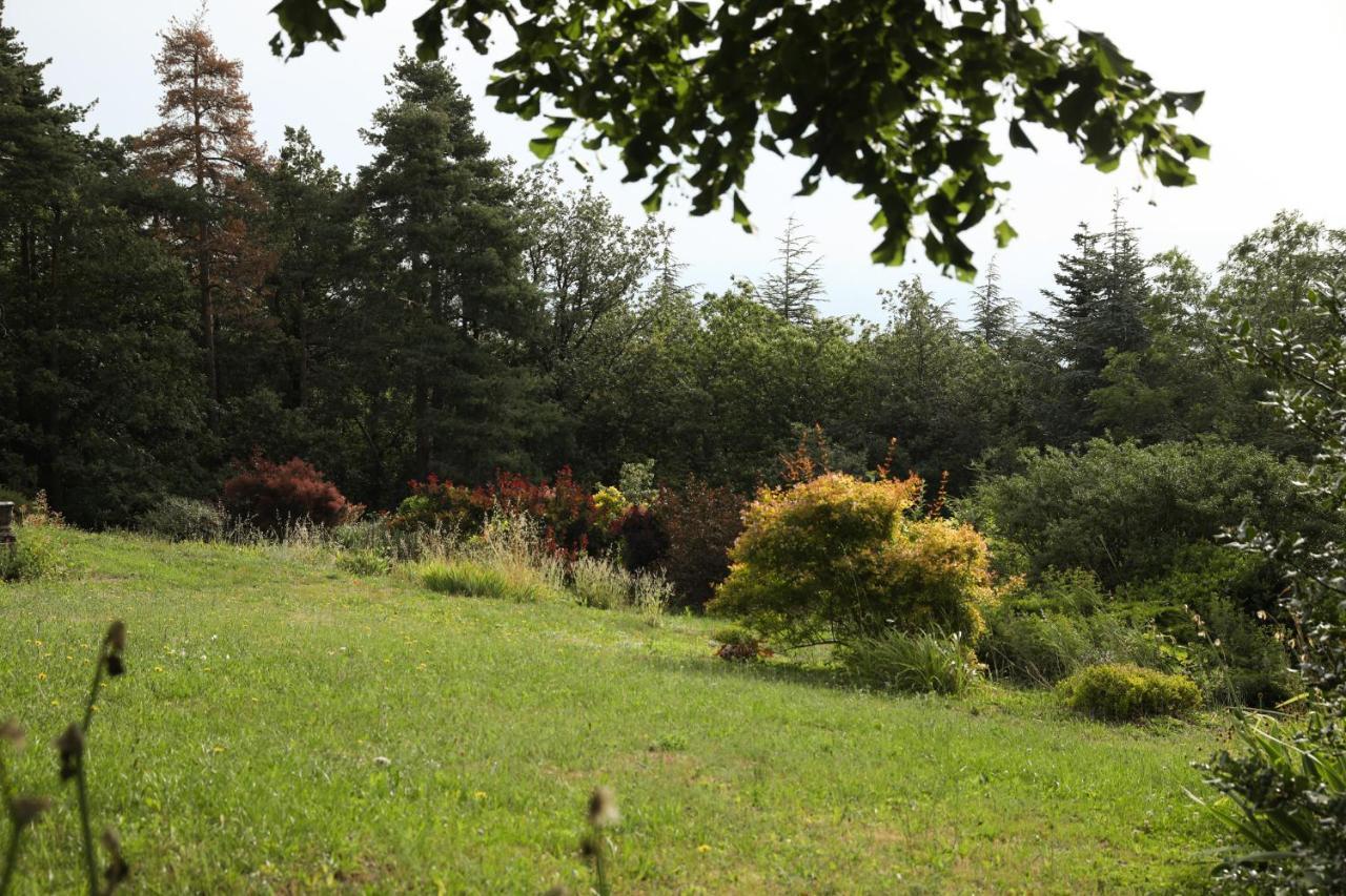 Villa Rouvesol Saint-Romain-de-Lerps Bagian luar foto